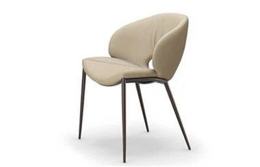 Leather Cloth Art Simple Dining Chair