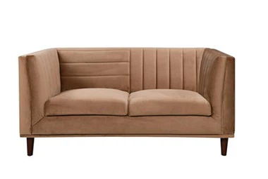 Modern 2-Seat Soft Sofa